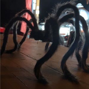 Meet your Posher, Betka